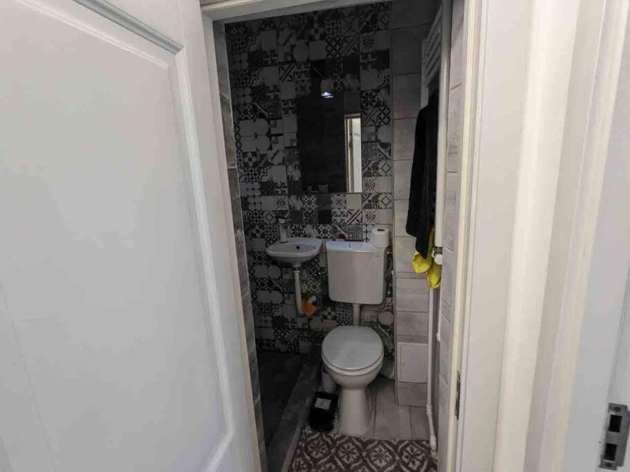 Sofi Apartment Central Бухарест Экстерьер фото